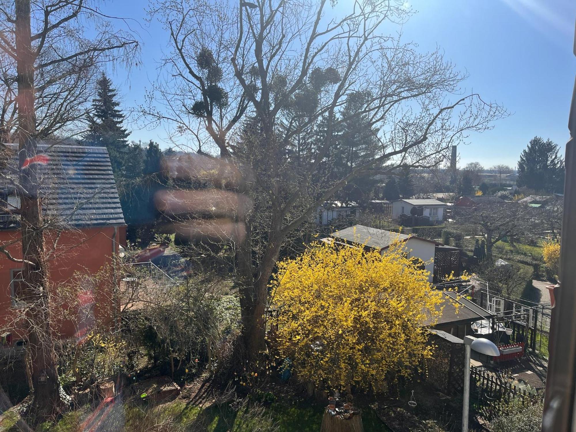 Gaeste-appartement Morgensonne Appartamento *